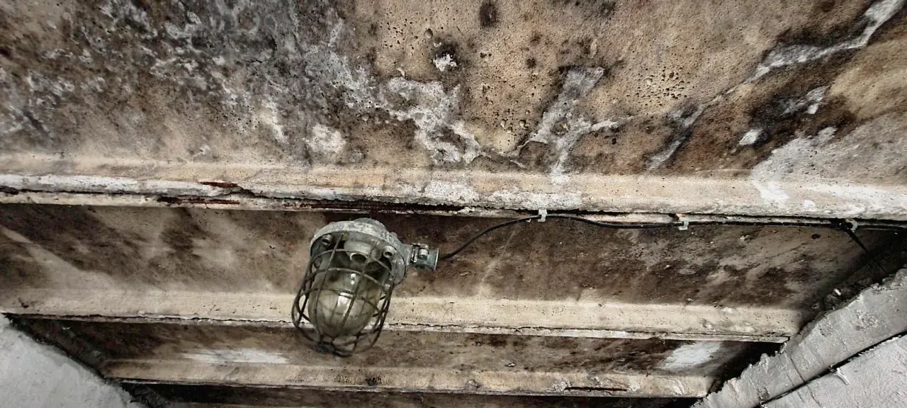 Wilgotny sufit garażu nieogrzewanego, z widoczną lampą przemysłową i śladami pleśni. Jaki tynk do garażu nieogrzewanego sprawdzi się w takich warunkach?