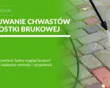 Usuwanie chwastów z kostki brukowej za pomocą myjki ciśnieniowej. Poznaj metody na piękny podjazd.