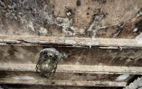 Wilgotny sufit garażu nieogrzewanego, z widoczną lampą przemysłową i śladami pleśni. Jaki tynk do garażu nieogrzewanego sprawdzi się w takich warunkach?