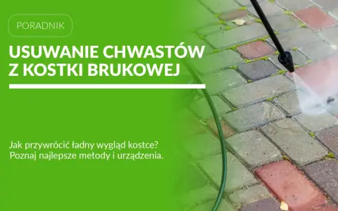 Usuwanie chwastów z kostki brukowej za pomocą myjki ciśnieniowej. Poznaj metody na piękny podjazd.