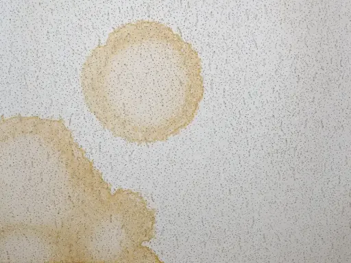 Żółte plamy na płytach gipsowych sufitu świadczą o przecieku.