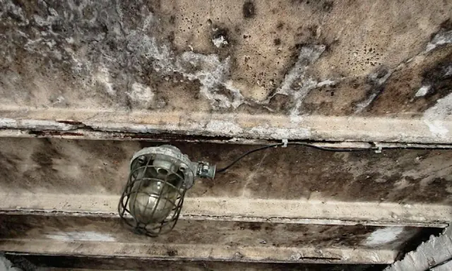 Wilgotny sufit garażu nieogrzewanego, z widoczną lampą przemysłową i śladami pleśni. Jaki tynk do garażu nieogrzewanego sprawdzi się w takich warunkach?