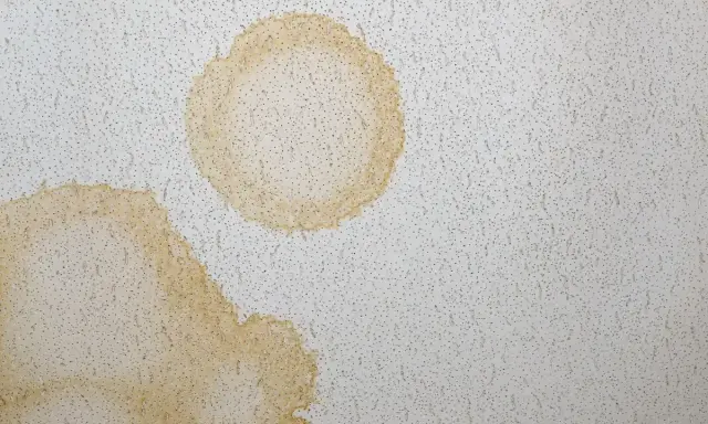 Żółte plamy na płytach gipsowych sufitu świadczą o przecieku.