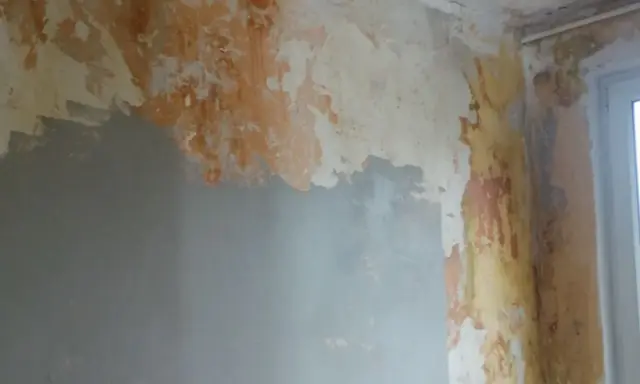 Ściana z odpadającą farbą i tynkiem, przygotowywana do remontu. Widać fragmenty szarej gładzi, które pomogą jak naprawić kratery w gładzi gipsowej.