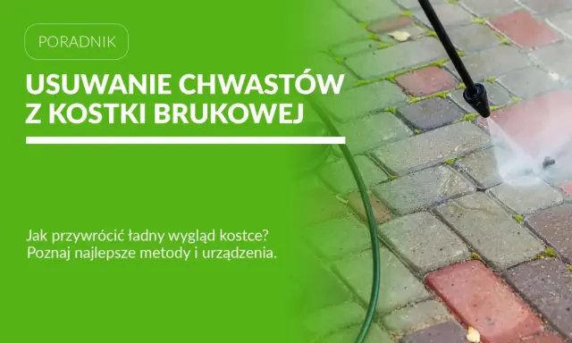Usuwanie chwastów z kostki brukowej za pomocą myjki ciśnieniowej. Poznaj metody na piękny podjazd.