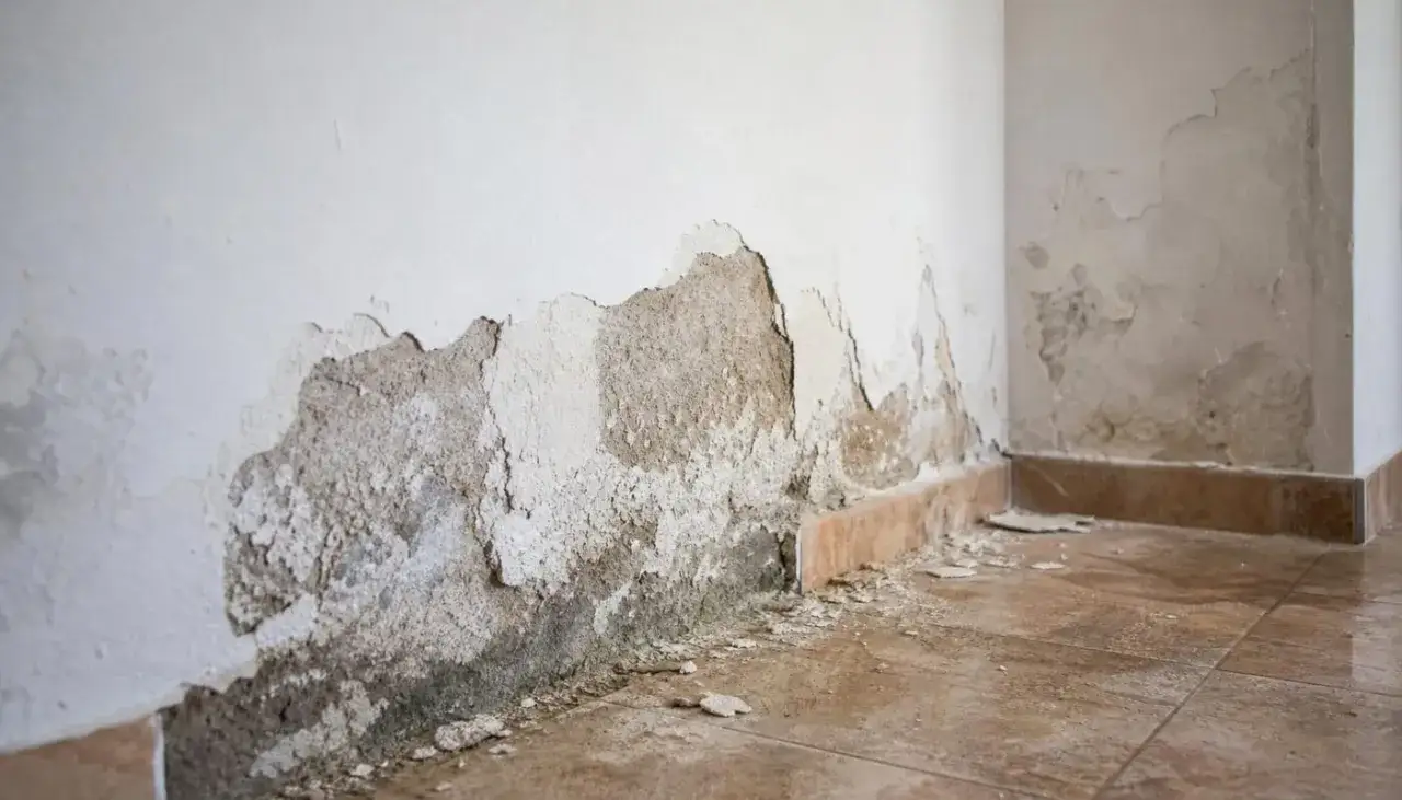 Widoczne odpadający tynk ze ściany, odsłaniający wilgotne podłoże i fragmenty cegieł. Ślady wilgoci i pleśni przy podłodze.